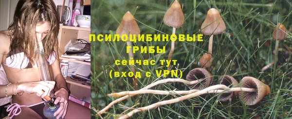 мяу мяу мука Козельск