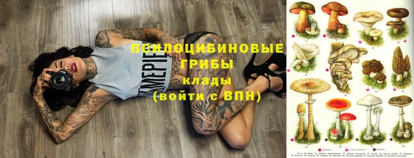 мяу мяу мука Козельск