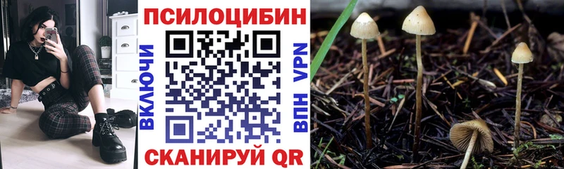 где найти   Нижний Новгород  Галлюциногенные грибы MAGIC MUSHROOMS 