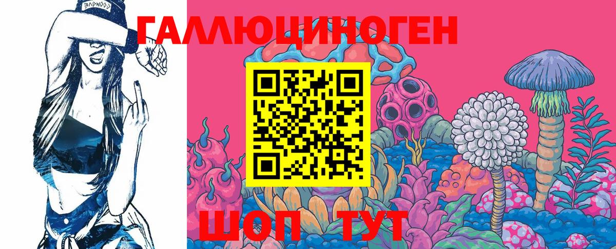Галлюциногенные грибы Psilocybe  Вход с VPN  Нижний Новгород 