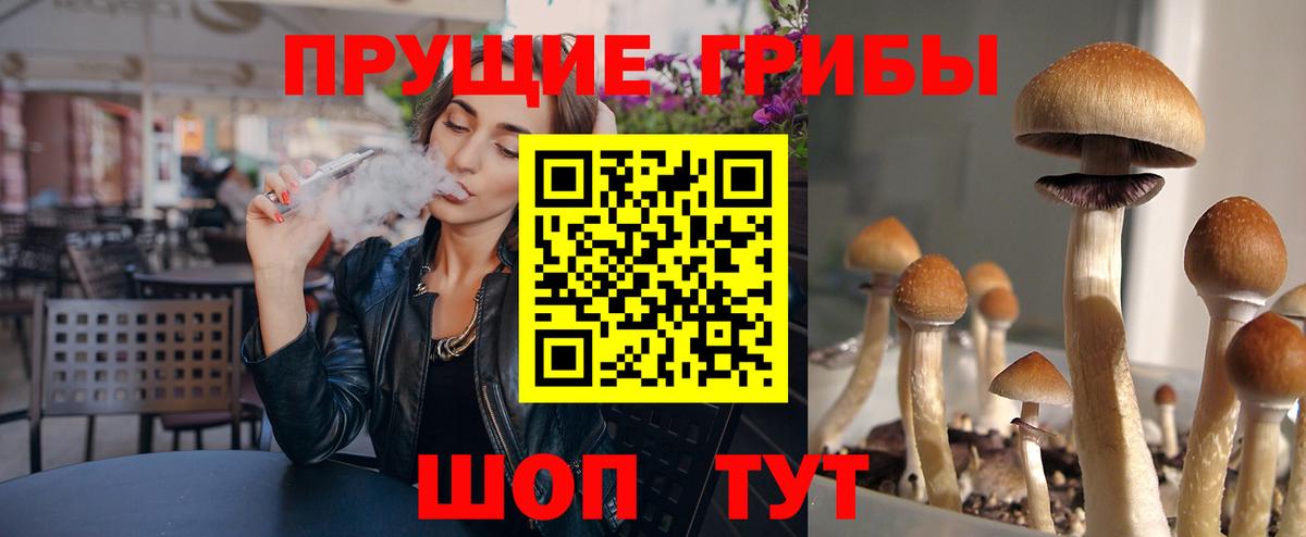 Галлюциногенные грибы Cubensis  Нижний Новгород  Псилоцибиновые грибы MAGIC MUSHROOMS 