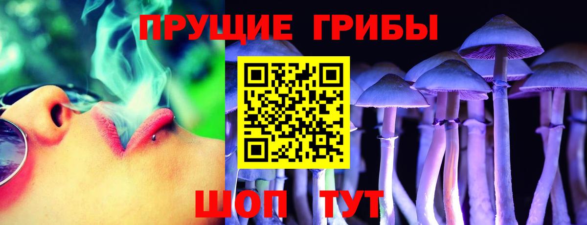 Псилоцибиновые грибы Psilocybe Нижний Новгород