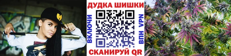 Бошки марихуана семена  купить наркоту  Нижний Новгород 